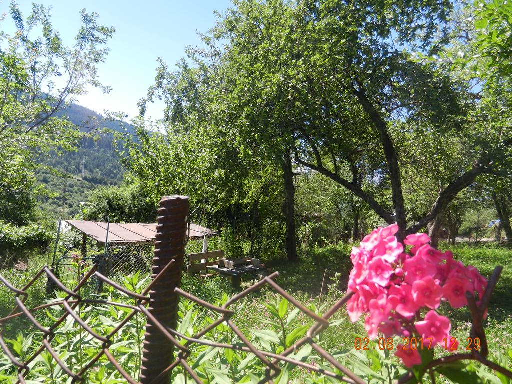 Marina Chartolani'S Guest House Mestia Exterior photo